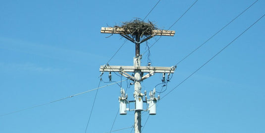 HIGH-VOLTAGE BIRD SPIKES (TRANSMISSION LINES) HALF